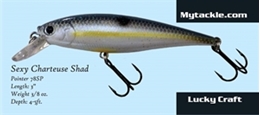 Picture of Kevin VanDam KVD Rattling Square Bill - Chartreuse Sexy Shad