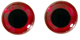 Picture of WTP 3D Molded Eyes