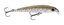 Picture of Rapala Ultra Light Minnow