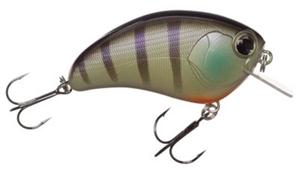 Picture of ima Square Bill Crankbait