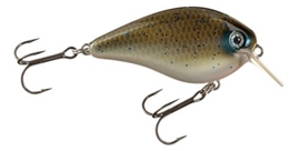 Picture of Strike King KVD Square Bill Silent Crankbaits