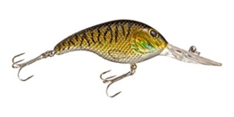 Picture of Bass Pro Shops Tourney Crankbait