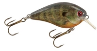 Picture of Strike King KVD Square Bill Silent Crankbaits