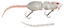 Picture of SPRO BBZ-1 Rat Swimbait