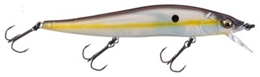 Picture of Megabass Vision ONETEN and ONETEN Jr.