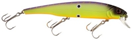 Picture of Bass Pro Shops XPS Suspending Minnows