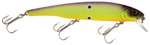 Picture of Bass Pro Shops XPS Suspending Minnows