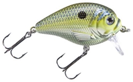 Picture of Bass Pro Shops XPS Lazer Eye The Egg