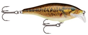 Picture of Rapala Scatter Rap Shad