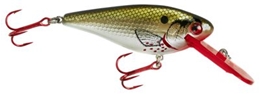 Picture of Lindy Wally Shad Crankbait