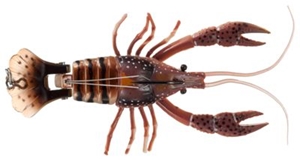 Picture of River2Sea Dahlberg Series Clackin' Crayfish