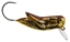Picture of Rebel Micro Crickhopper