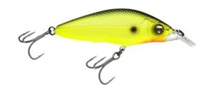 Picture of Duel Shadcrank CrankBait