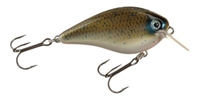 Picture of Strike King KVD Rattling Square Bill Crankbaits