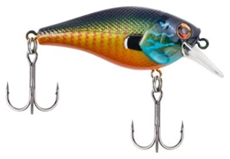 Picture of Berkley Pitbull 5.5 Crankbait