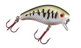 Picture of Mann's Red Hook Baby 1-Minus