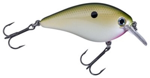 Picture of Strike King KVD Square Bill Silent Crankbaits