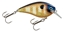 Picture of Strike King KVD Square Bill Silent Crankbaits