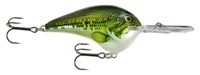 Picture of Rapala DT (Dives-To) Series Crankbaits