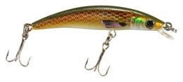Picture of Bass Pro Shops XTS Lures - Minnow