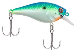 Picture of Berkley Pitbull 5.5 Crankbait