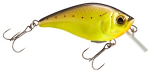 Picture of Boyd Duckett Series Soft Squarebill Crankbait
