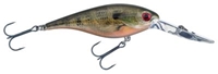 Picture of Strike King Pro Model Lucky Shad