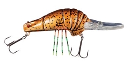 Picture of Bass Pro Shops XPS Crazy Bug