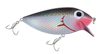 Picture of STORM Original ThinFin Lures