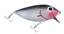 Picture of STORM Original ThinFin Lures