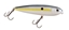 Picture of Strike King KVD Sexy Dawg Jr. Topwater Hardbaits