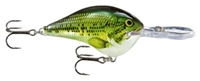 Picture of Rapala DT (Dives-To) Series Crankbaits