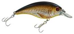 Picture of Bass Pro Shops XTS Lures - Crank