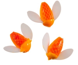 Picture of Worden's Spin-N-Glo