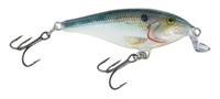 Picture of Rapala Shallow Shad Rap