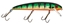 Picture of Musky Mania Big Flash Jake Crankbaits