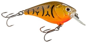 Picture of Boyd Duckett Series Squarebill Crankbait