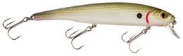 Picture of Bass Pro Shops XPS Suspending Minnows