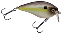 Picture of Strike King KVD Rattling Shallow Runner