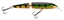 Picture of Rapala Jointed Minnow