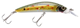 Picture of Bass Pro Shops XPS Floating Minnows