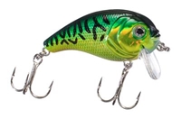 Picture of Bass Pro Shops XPS Lazer Eye Hardbaits - Super Shallow Crank