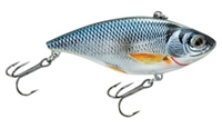 Picture of LIVETARGET Golden Shiner