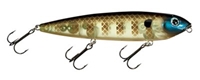 Picture of Strike King KVD Sexy Dawg Topwater Hardbaits