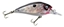 Picture of Gary Yamamoto Chikara Crankbait