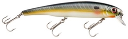 Picture of Bass Pro Shops XPS Suspending Minnows