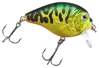 Picture of Bass Pro Shops XPS Lazer Eye The Egg