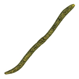 Picture of Bass Pro Shops Flick'n Shimmy Worms