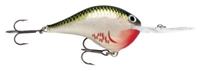 Picture of Rapala DT (Dives-To) Series Crankbaits