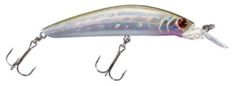 Picture of Bass Pro Shops XPS Floating Minnows